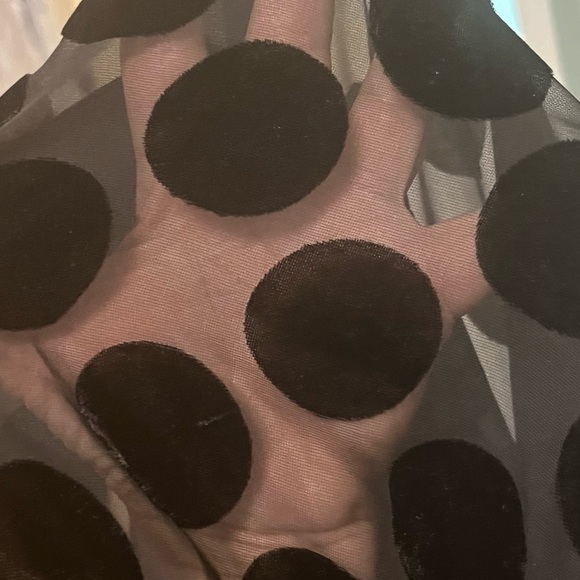 NWT Victoria Secret pants - Picture 1 of 5